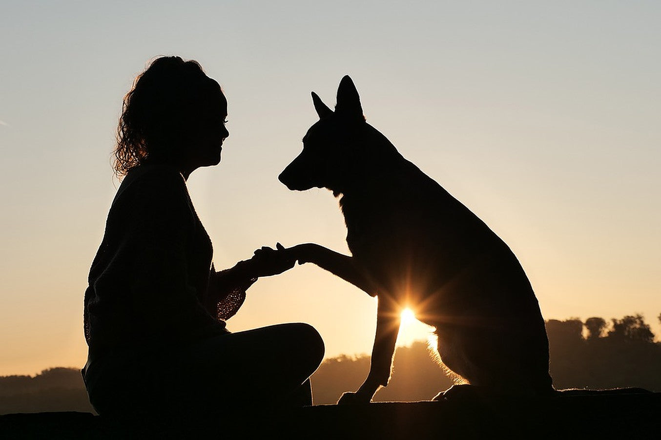 June 8: Best Friends Day - Because some best friends have four legs and a tail.