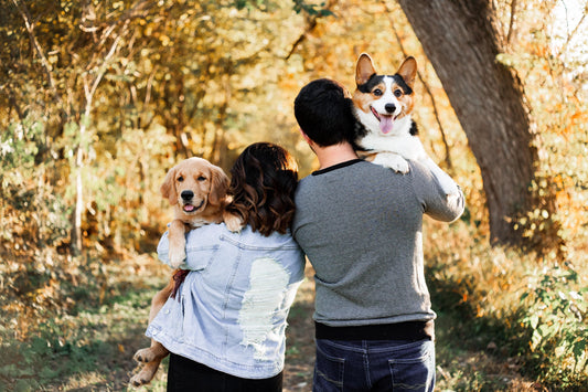 August 16 | Clear the Shelters Day