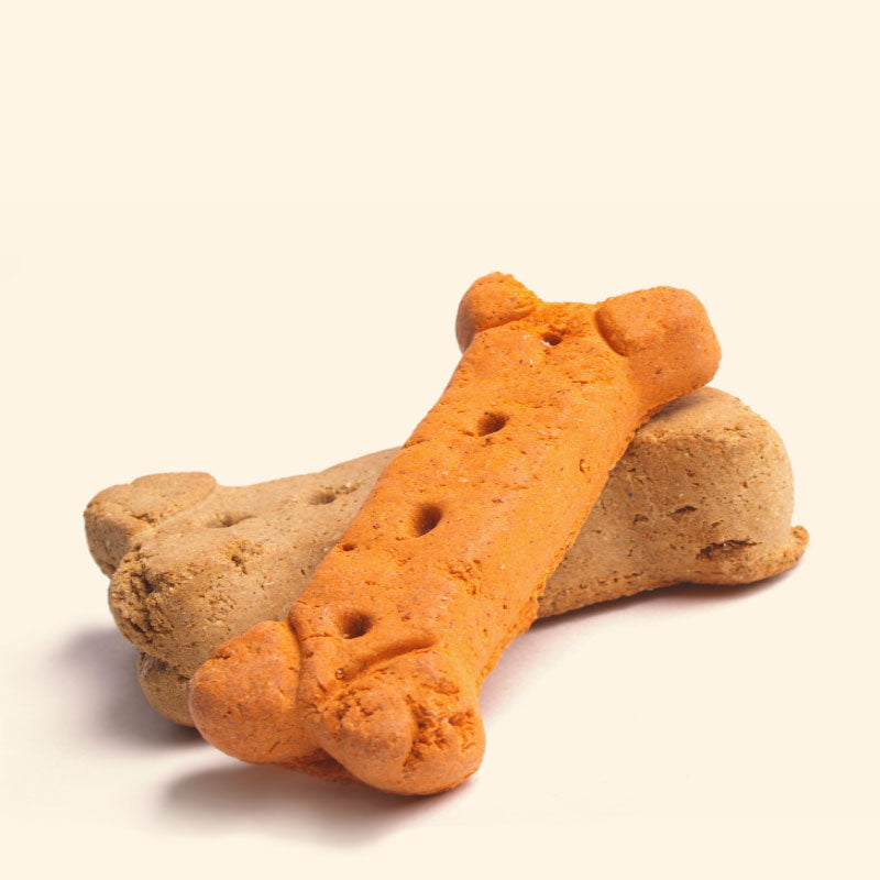 Celebrate National Dog Biscuit Day: A Tail-Wagging Celebration! - February 23rd