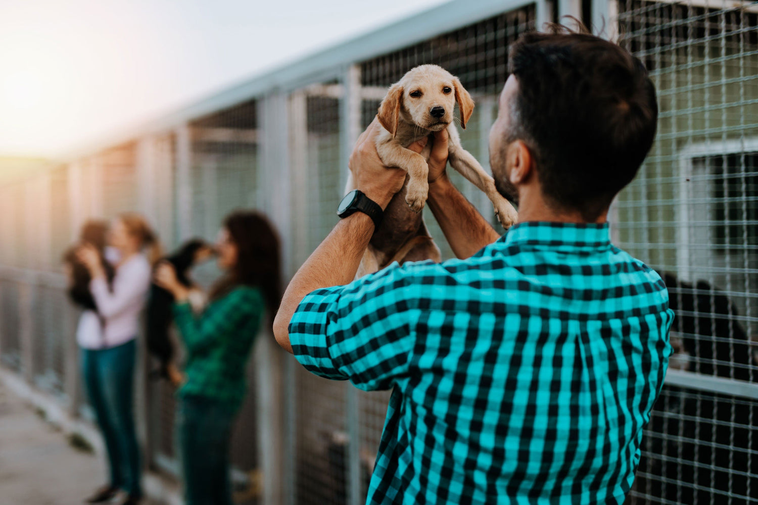 May 20: National Rescue Dog Day — Celebrating the Heroes Who Rescue Our Hearts