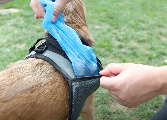 International Pooper Scooper Week: Let’s Talk About the Dirty Truth (April 1st-7th)