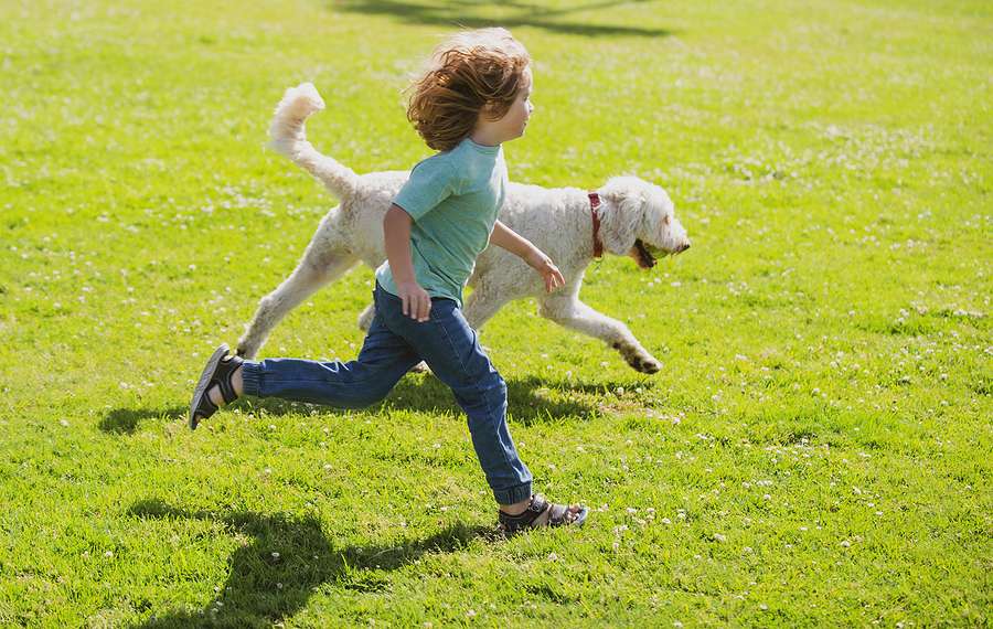 April 26: National Kids and Pets Day – Celebrating the Bond Between Children and Pets