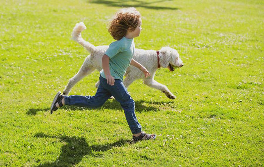 April 26: National Kids and Pets Day – Celebrating the Bond Between Children and Pets