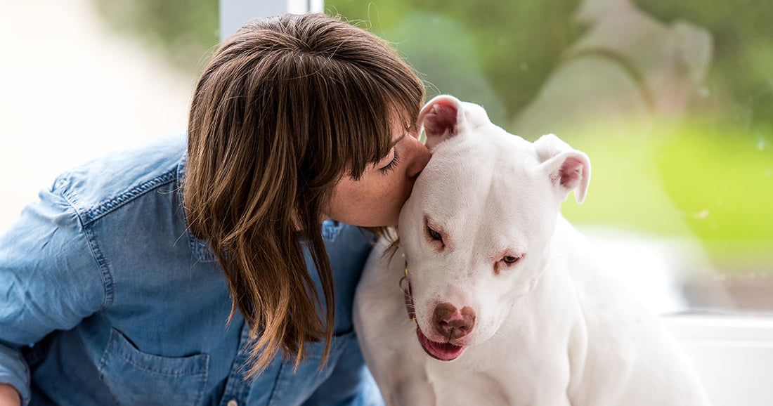 May’s First Week: Be Kind to Animals Week — Let’s Show Some Extra Love to Our Furry Friends!