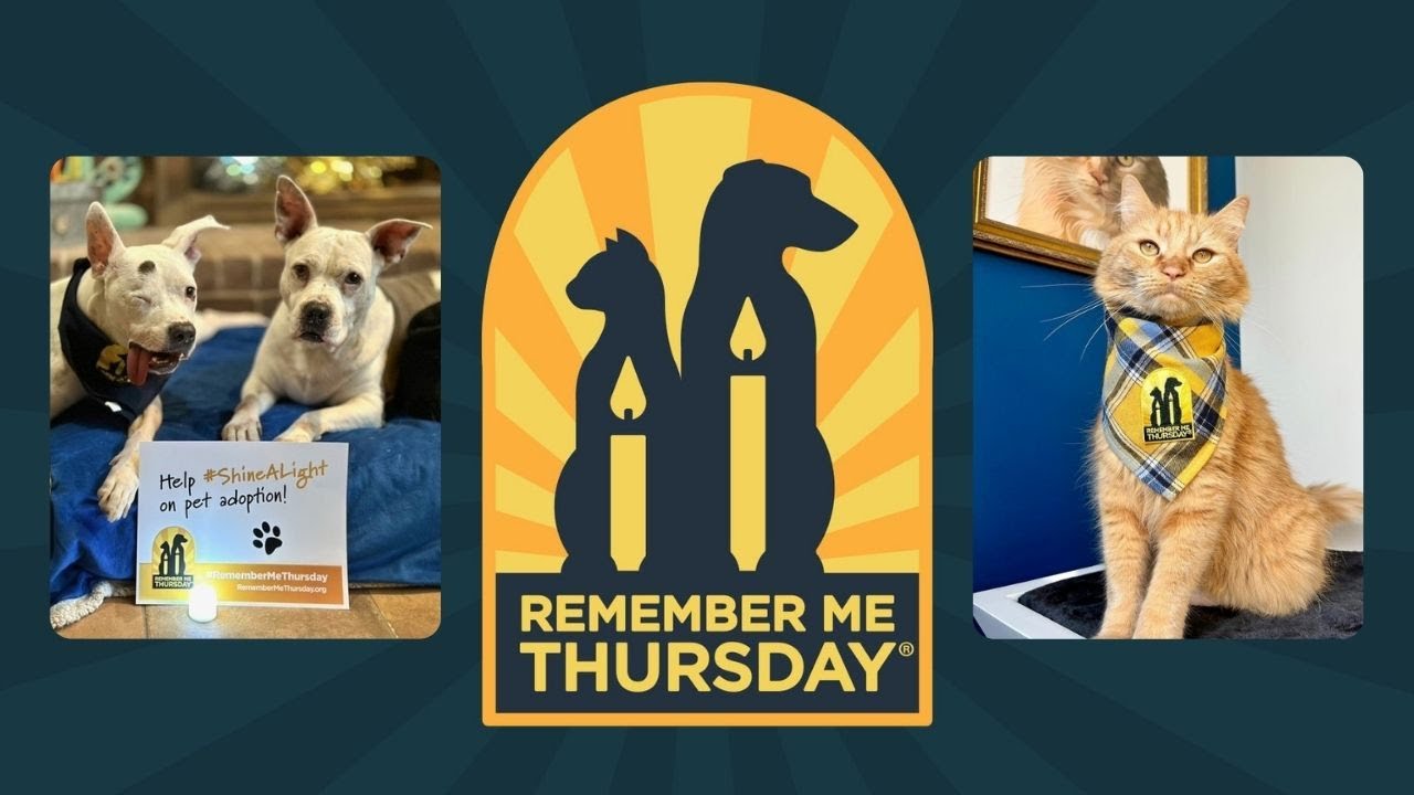 September 25th | Remember Me Thursday®