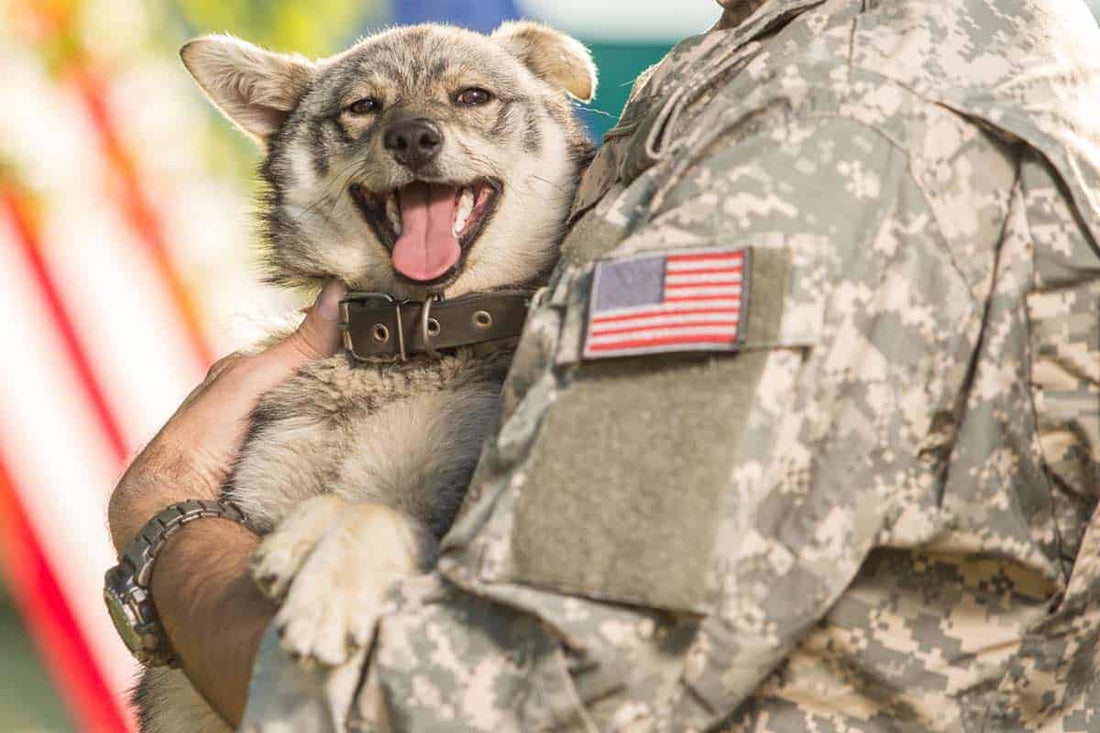October 21: National Pets for Veterans Day