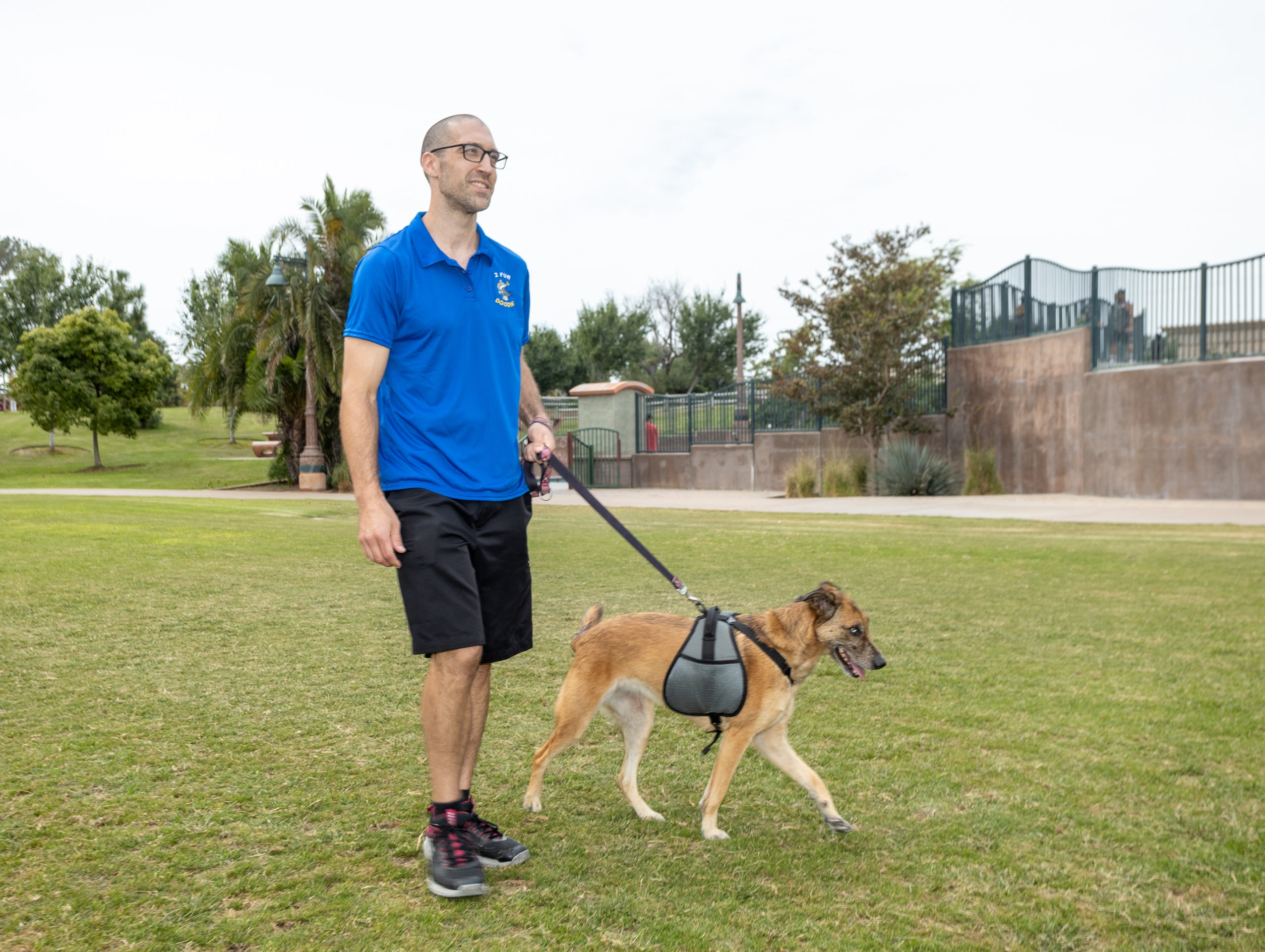 All-in-One Dog Harness: 2 Fur Doodie - Bag Dispenser &amp; Essential Pocket