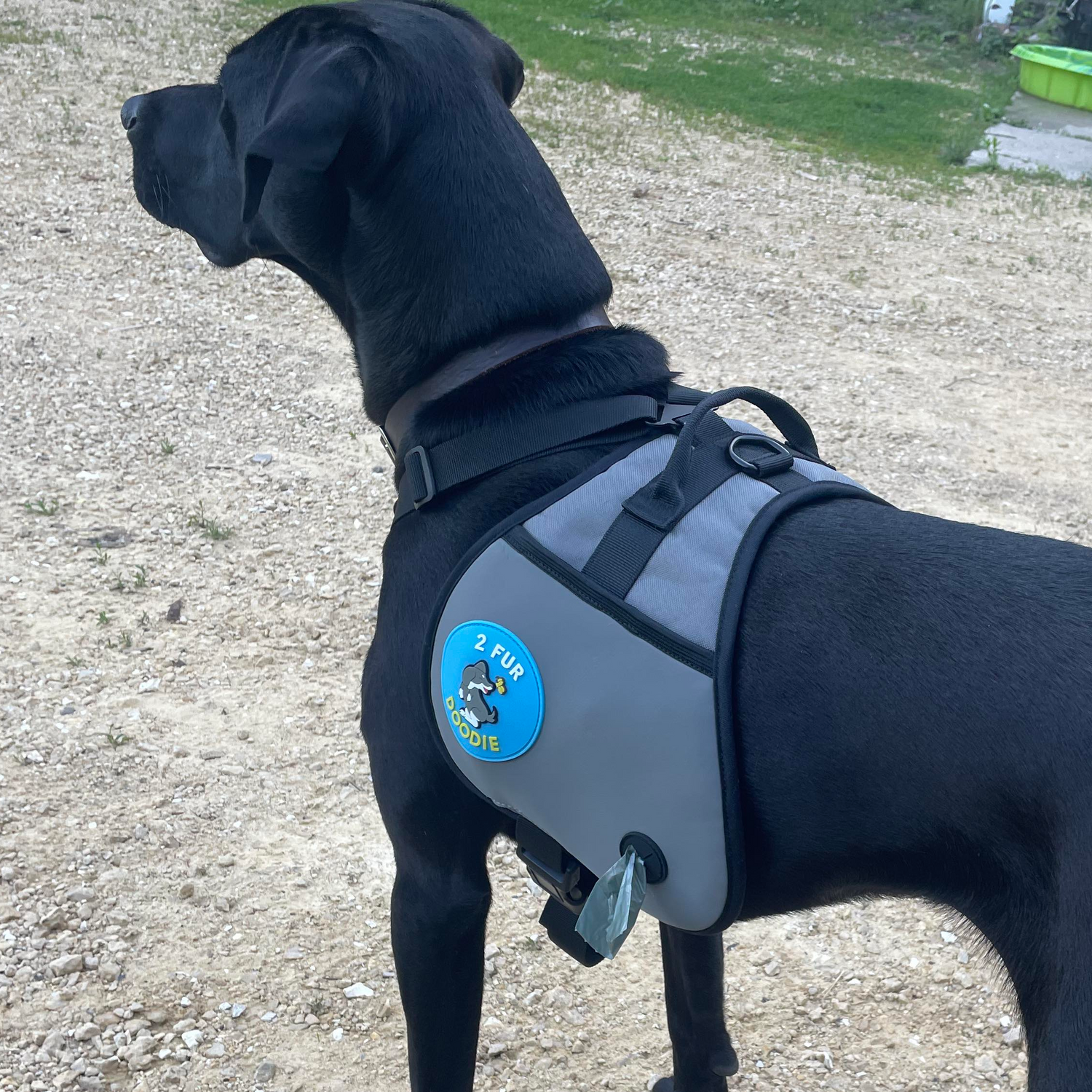 All-in-One Dog Harness: 2 Fur Doodie - Bag Dispenser &amp; Essential Pocket